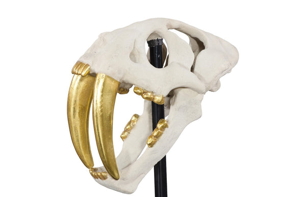 Phillips Collection Saber Tooth Tiger Skull Sculpture – Stunning Roman Stone Finish for Bold Home Décor & Focal Point Roman Stone PH56706