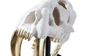 Phillips Collection Saber Tooth Tiger Skull Sculpture – Stunning Roman Stone Finish for Bold Home Décor & Focal Point Roman Stone PH56706
