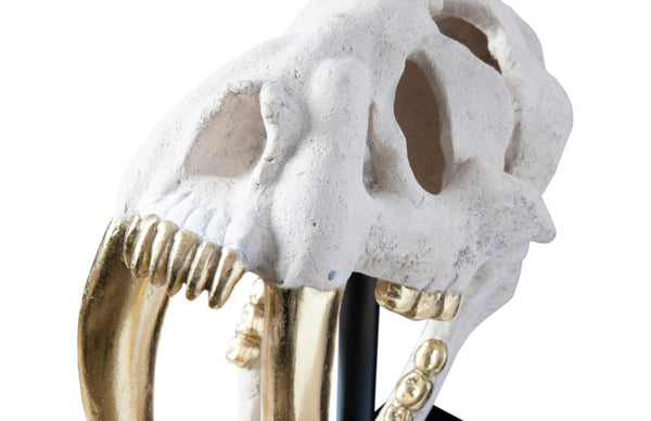 Phillips Collection Saber Tooth Tiger Skull Sculpture – Stunning Roman Stone Finish for Bold Home Décor & Focal Point Roman Stone PH56706