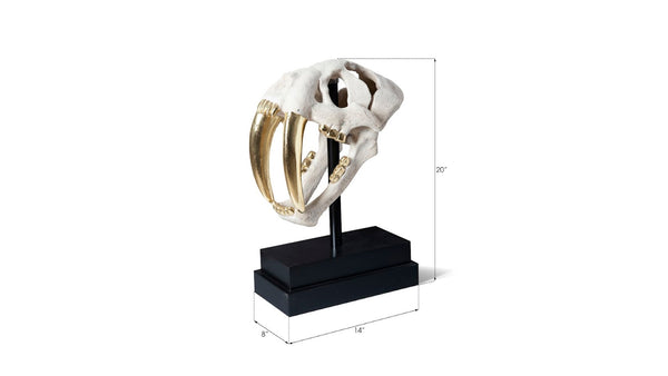 Phillips Collection Saber Tooth Tiger Skull Sculpture – Stunning Roman Stone Finish for Bold Home Décor & Focal Point Roman Stone PH56706