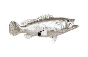 Phillips Collection Estuary Cod Fish Wall Sculpture - Elegant Coastal Decor for Modern Interiors and Eclectic Spaces Resin, Silver Leaf PH64541