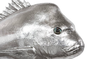 Phillips Collection Australian Snapper Wall Sculpture - Coastal Elegance for Modern Interiors and Nautical Spaces Resin, Silver Leaf PH64555