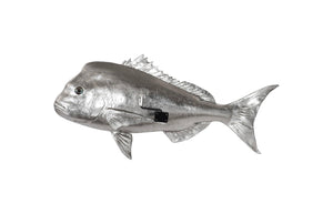 Phillips Collection Australian Snapper Wall Sculpture - Coastal Elegance for Modern Interiors and Nautical Spaces Resin, Silver Leaf PH64555
