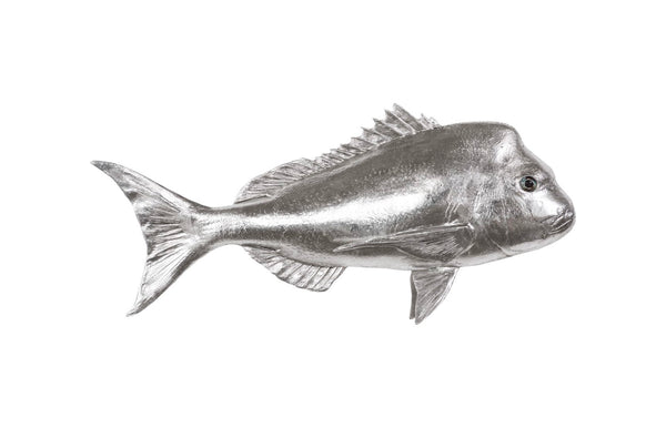 Phillips Collection Australian Snapper Wall Sculpture - Coastal Elegance for Modern Interiors and Nautical Spaces Resin, Silver Leaf PH64555