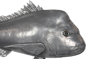 Phillips Collection Australian Snapper Wall Sculpture - Coastal Elegance for Modern Interiors and Nautical Spaces Resin, Polished Aluminum Finish PH64556