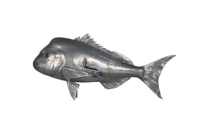 Phillips Collection Australian Snapper Wall Sculpture - Coastal Elegance for Modern Interiors and Nautical Spaces Resin, Polished Aluminum Finish PH64556