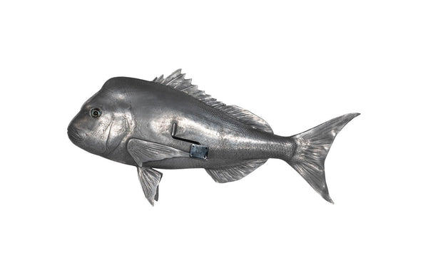 Phillips Collection Australian Snapper Wall Sculpture - Coastal Elegance for Modern Interiors and Nautical Spaces Resin, Polished Aluminum Finish PH64556