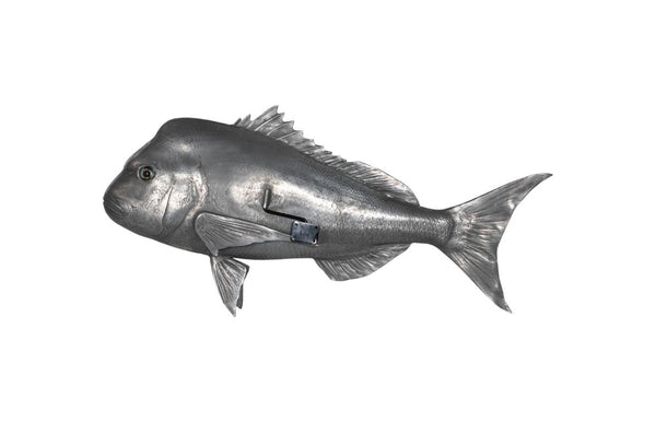 Phillips Collection Australian Snapper Resin Fish Wall Sculpture Polished Metallic Coastal Decor PH64556
