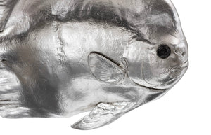 Phillips Collection Australian Bat Fish Wall Sculpture - Elegant Coastal Decor for Modern and Nautical Interiors Resin, Silver Leaf PH64557