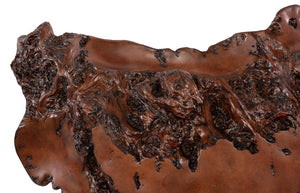 Phillips Collection Burled Faux Rosewood Sculptural Wall Art Organic Composite Resin Living Room Accent PH67545