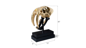 Phillips Collection Saber Tooth Tiger Skull Sculpture – Stunning Roman Stone Finish for Bold Home Décor & Focal Point Black, Gold Leaf PH67580