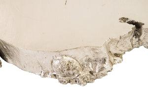 Phillips Collection Burled Root Wall Art - Modern Organic Decor with Luminous Silver Leaf Finish for Stylish Interiors Small, Silver Leaf PH67971