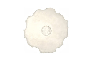 Phillips Collection Barnacle Sculptural Wall Art - Elegant Coastal Decor with Mirrored Glass for Boho & Modern Spaces PH75346