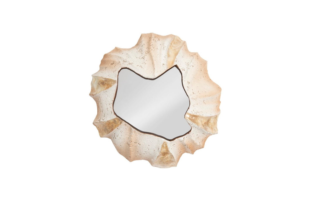 Phillips Collection Barnacle Decorative Mirror Art - Elegant Ivory & Mirrored Glass Design For Boho And Coastal Spaces Off White Resin Ph75346