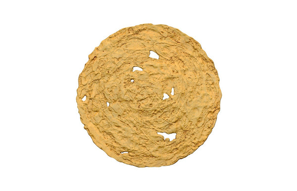 Phillips Collection Molten Wall Disc - Stunning Bright Silver Leaf Sculpture for Modern Home Décor & Gallery Walls Medium, Gold Leaf PH83140