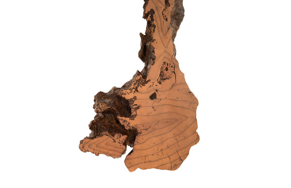 Phillips Collection Burled Root Wall Art - Modern Organic Decor with Luminous Silver Leaf Finish for Stylish Interiors Medium, Faux Bois Finish PH83681