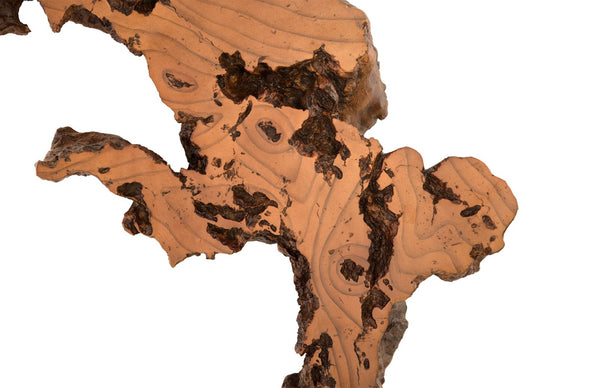 Phillips Collection Burled Root Wall Art - Modern Organic Decor with Luminous Silver Leaf Finish for Stylish Interiors Medium, Faux Bois Finish PH83681
