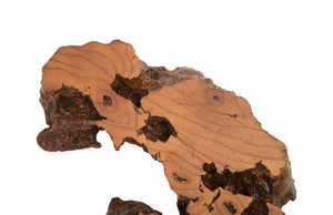 Phillips Collection Burled Root Wall Art - Modern Organic Decor with Luminous Silver Leaf Finish for Stylish Interiors Medium, Faux Bois Finish PH83681