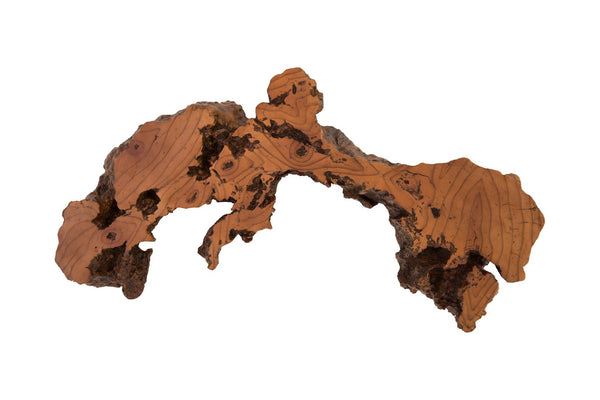 Phillips Collection Burled Root Wall Art - Modern Organic Decor with Luminous Silver Leaf Finish for Stylish Interiors Medium, Faux Bois Finish PH83681