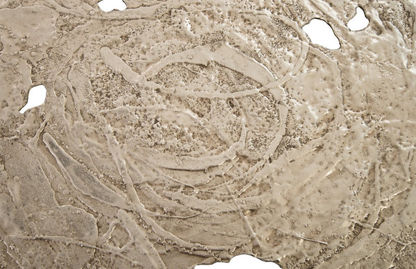 Phillips Collection Molten Wall Disc - Stunning Bright Silver Leaf Sculpture for Modern Home Décor & Gallery Walls Large, Silver Leaf PH83689
