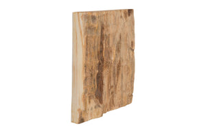 Phillips Collection Cast Petrified Wood Wall Tile - Timeless Natural Elegance for Modern and Rustic Interior Spaces Resin, Square PH89988