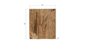 Phillips Collection Cast Petrified Wood Wall Tile - Timeless Natural Elegance for Modern and Rustic Interior Spaces Resin, Square PH89988