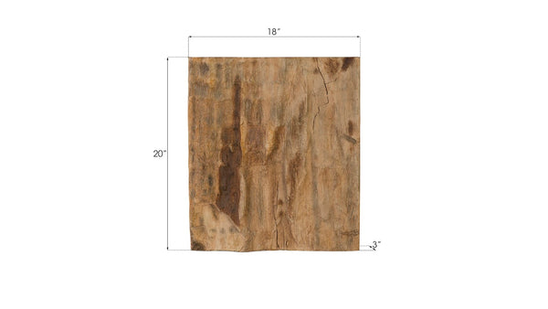 Phillips Collection Cast Petrified Wood Wall Tile - Timeless Natural Elegance for Modern and Rustic Interior Spaces Resin, Square PH89988