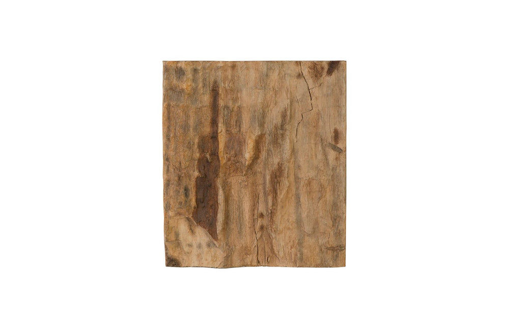 Phillips Collection Cast Petrified Wood Wall Tile - Timeless Natural Elegance for Modern and Rustic Interior Spaces Resin, Square PH89988