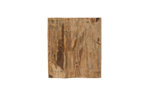 Phillips Collection Cast Petrified Wood Wall Tile - Timeless Natural Elegance for Modern and Rustic Interior Spaces Resin, Square PH89988