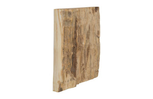 Phillips Collection Cast Resin Petrified Wood Wall Tile Hand Painted Artisan Organic Accent Piece PH89988
