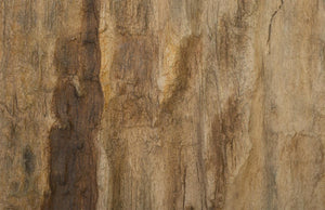 Phillips Collection Cast Resin Petrified Wood Wall Tile Hand Painted Artisan Organic Accent Piece PH89988