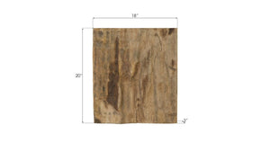 Phillips Collection Cast Resin Petrified Wood Wall Tile Hand Painted Artisan Organic Accent Piece PH89988