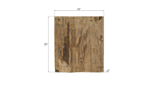 Phillips Collection Cast Resin Petrified Wood Wall Tile Hand Painted Artisan Organic Accent Piece PH89988