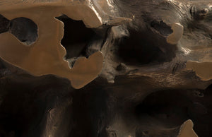 Phillips Collection Beau Cast Root Console Table In Bronze Finish - Modern Organic Design For Timeless Elegance Brown,Bronze Resin Ph92550