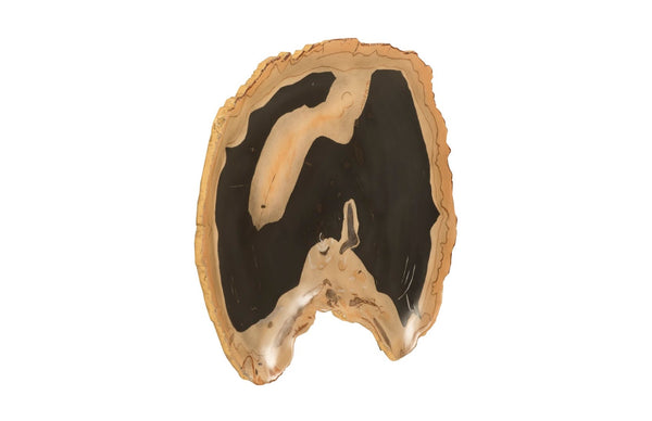 Phillips Collection Cast Petrified Wood Wall Tile - Durable, Nature-inspired Design For Stunning Modern Interiors Black,Brown Resin Ph92564