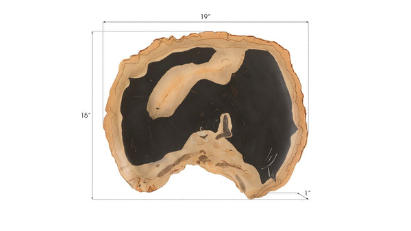 Phillips Collection Cast Petrified Wood Wall Tile - Durable, Nature-inspired Design For Stunning Modern Interiors Black,Brown Resin Ph92564