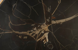 Phillips Collection Cast Petrified Wood Wall Tile - Durable, Nature-inspired Design For Stunning Modern Interiors Black,Brown Resin Ph92565