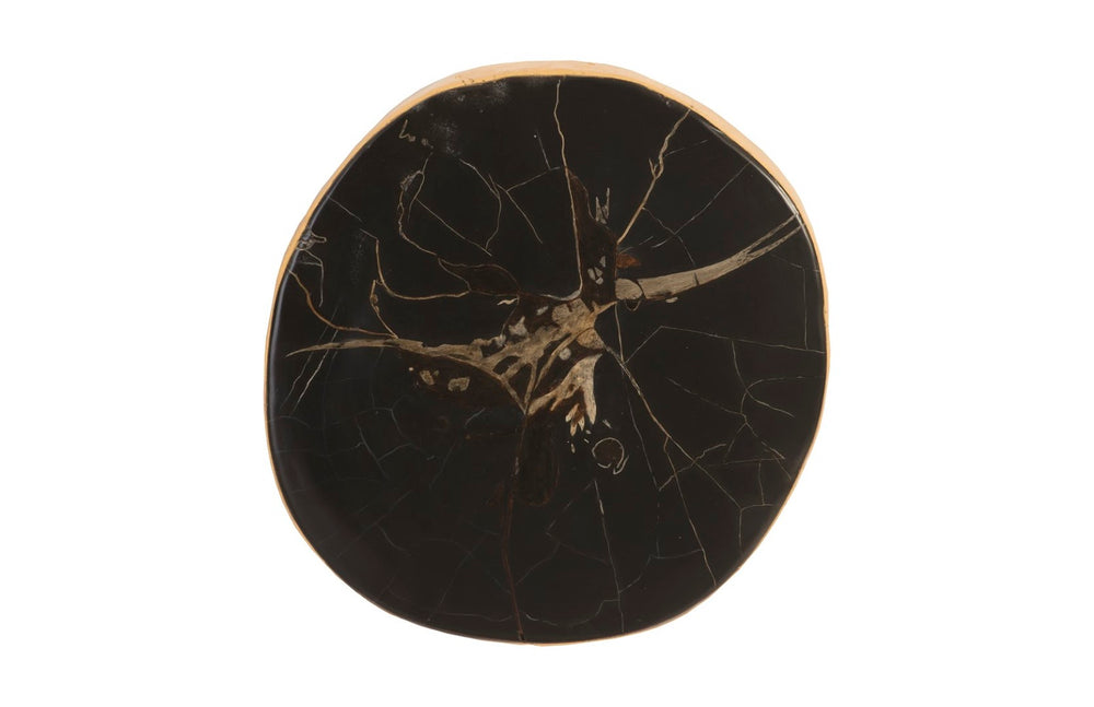Phillips Collection Cast Petrified Wood Wall Tile in Resin - Authentic Woodgrain Finish for Modern & Rustic Interiors PH92565