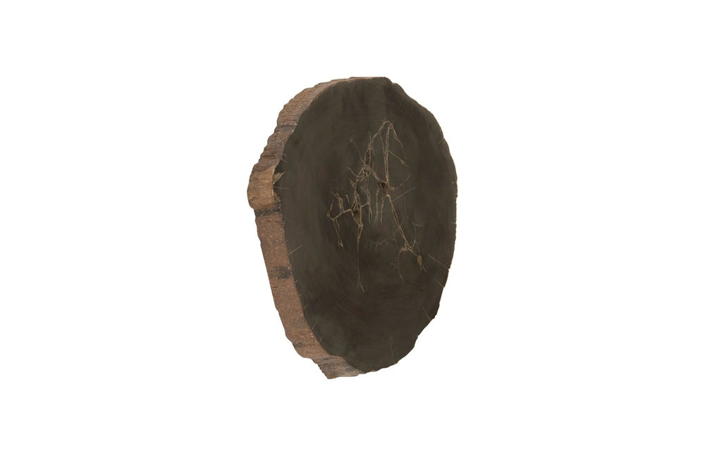 Phillips Collection Cast Petrified Wood Wall Tile - Hand-Painted Resin, Lightweight, Durable, Ideal for Modern Interiors PH93154