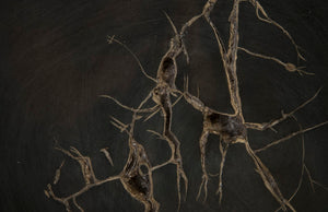 Phillips Collection Cast Petrified Wood Wall Tile - Hand-Painted Resin, Lightweight, Durable, Ideal for Modern Interiors PH93154