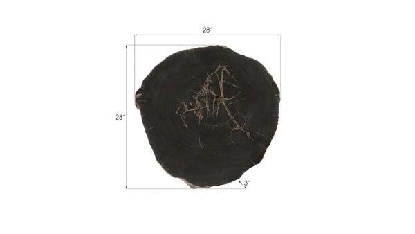 Phillips Collection Cast Petrified Wood Wall Tile - Hand-Painted Resin, Lightweight, Durable, Ideal for Modern Interiors PH93154