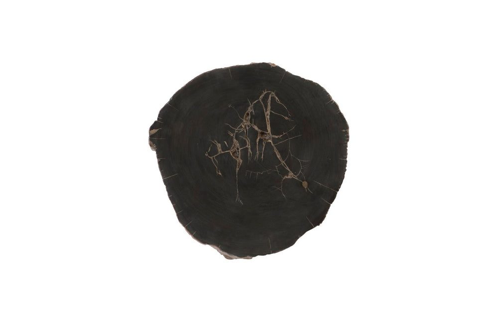 Phillips Collection Cast Petrified Wood Wall Tile - Hand-Painted Resin, Lightweight, Durable, Ideal for Modern Interiors PH93154
