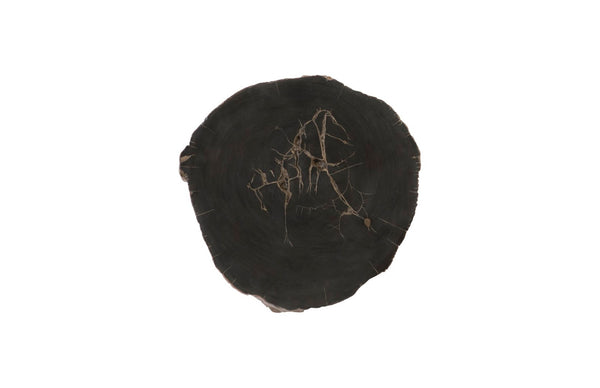 Phillips Collection Cast Petrified Wood Wall Tile - Hand-Painted Resin, Lightweight, Durable, Ideal for Modern Interiors PH93154