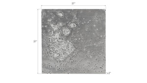 Phillips Collection Splotch Dense Wall Art - Modern Organic Design with Textured Surface for Eye-Catching Home Decor Square, Silver Leaf PH94494