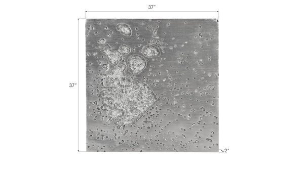 Phillips Collection Splotch Dense Wall Art - Modern Organic Design with Textured Surface for Eye-Catching Home Decor Square, Silver Leaf PH94494