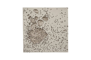 Phillips Collection Splotch Dense Wall Art - Modern Organic Design with Textured Surface for Eye-Catching Home Decor Square, Silver Leaf PH94494