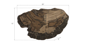 Phillips Collection Cast Petrified Wood Wall Tile - Durable, Nature-inspired Design For Stunning Modern Interiors Brown,Gray Resin Ph94505