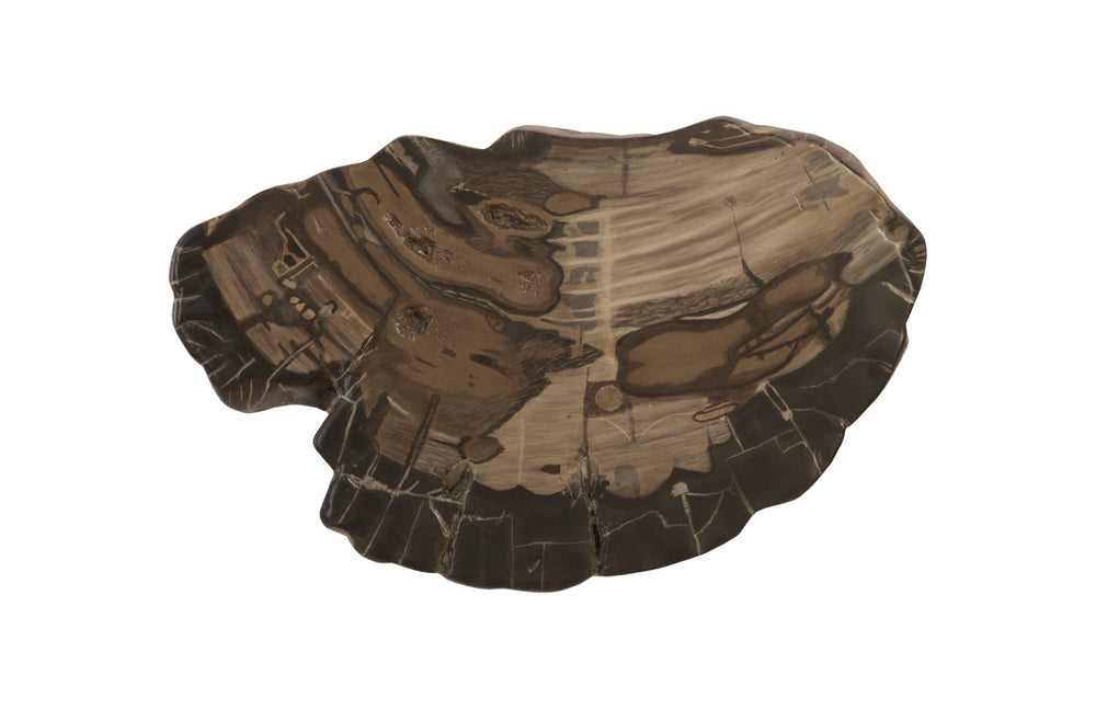Phillips Collection Cast Petrified Wood Wall Tile - Handcrafted Resin for Modern Design, Durable & Lightweight Accent Decor PH94505