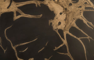 Phillips Collection Cast Petrified Wood Wall Tile - Durable, Nature-inspired Design For Stunning Modern Interiors Gray,Brown Resin Ph94507