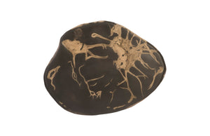 Phillips Collection Cast Petrified Wood Wall Tile - Durable, Nature-inspired Design For Stunning Modern Interiors Gray,Brown Resin Ph94507